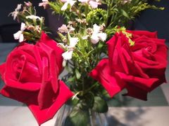 -蜜桃花开·中西融合菜E&W(南长街店)