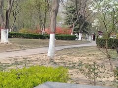 -裕华世纪公园