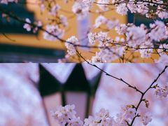 -鸡鸣寺