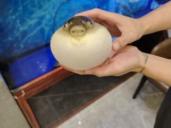 -肆月河豚·新淮扬(金融街店)