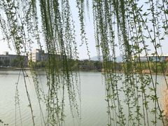 -江南大学(蠡湖校区)