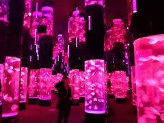 -成都浩海立方海洋公园