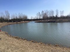 -东郊湿地公园