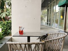 -新加坡柏薇罗切斯特酒店