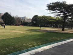 -御花园·粤菜·海鲜火锅(中山公园店)