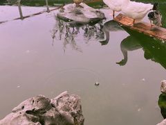 -龙华寺