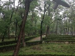 iphone_upload_pic-顺鑫绿色度假村