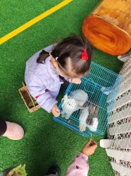 -可可天空农场(中大店)