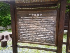 -牛背梁国家森林公园