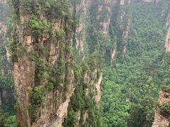 -业华湘·特色菜