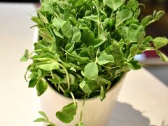 -浩爷羊蝎子火锅(望京店)