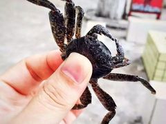 -西涌国际滨海旅游区