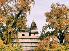 -北京石刻艺术博物馆(五塔寺)