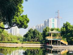 -晓港公园