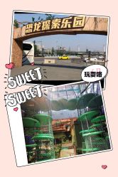 -恐龙探索乐园(磁器口店)