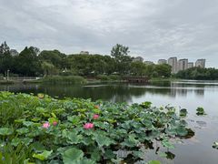 -新江湾城公园