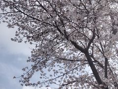 -星聚会KTV(龙湖上海奉贤天街店)