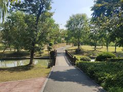 -九科绿洲