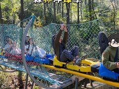 -沂蒙山旅游区云蒙景区(蒙山国家森林公园)