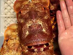 -凯华海鲜火锅·传承三十六年