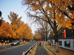 -清华澜园教工餐厅
