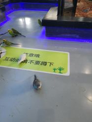 -未来动物城动物主题公园(大悦城店)