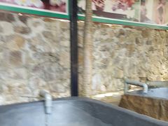 -100蛋泥浆浴