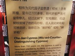 -北京国子监胡同