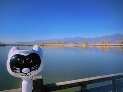 -野鸭湖国家湿地公园