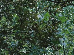 -春晖园度假酒店温泉