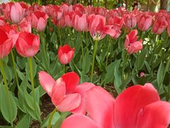 -长春公园(普阳街道)