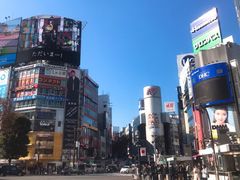 -涩谷区