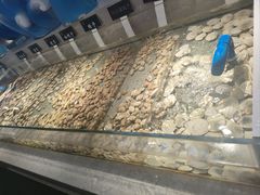 -和谐号蒸汽海鲜烤肉自助餐厅(欧亚新生活店)