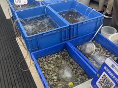 -象山小白象海鲜面