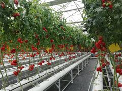 -兰陵国家农业公园