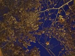 -春晖园度假酒店温泉