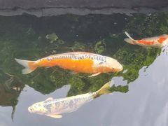 -西安市广仁寺