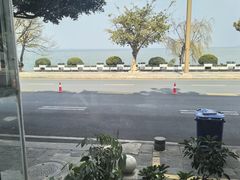 -野菌皇海景野生菌火锅(滨海大道店)