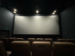 -SFC上影影城(港汇永华IMAX激光店)