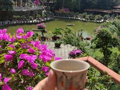 -深圳仙湖植物园