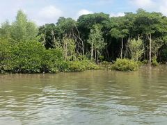 -东寨港红树林旅游区