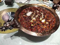 -雲蜀龙阁·金牌水煮鱼(方庄店)