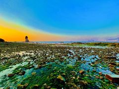 -青岛石老人海水浴场