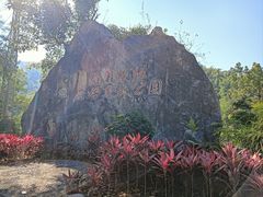 -西双版纳原始森林公园