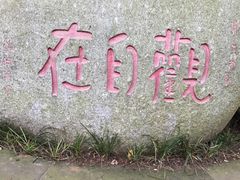 -峨眉山报国寺