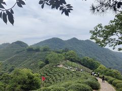 -西湖风景区十里琅珰-五云山