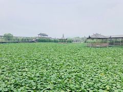 -处女泉风景名胜区