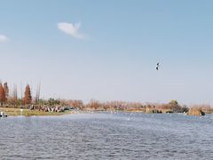 -呈贡滇池生态湿地公园