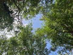 -北运河水利风景区