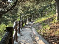 -北京十三陵国家森林公园蟒山景区